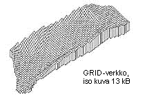 [GRID-verkko]